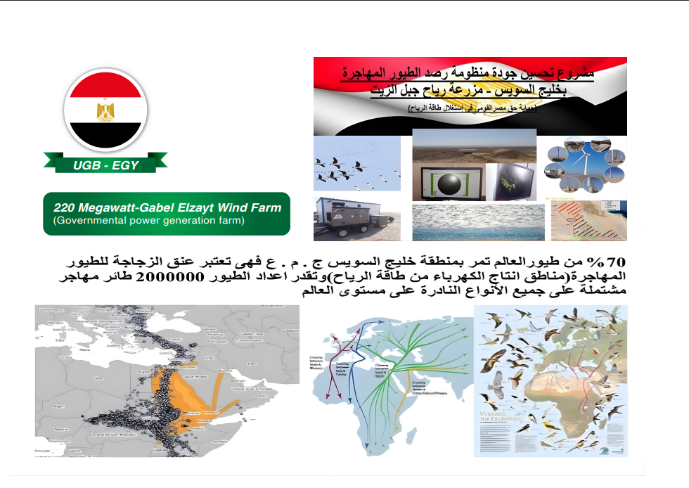 مزرعة رياح جبل الزايت بقدرة 220 ميغاواط (مزرعة حكومية لتوليد الطاقة)